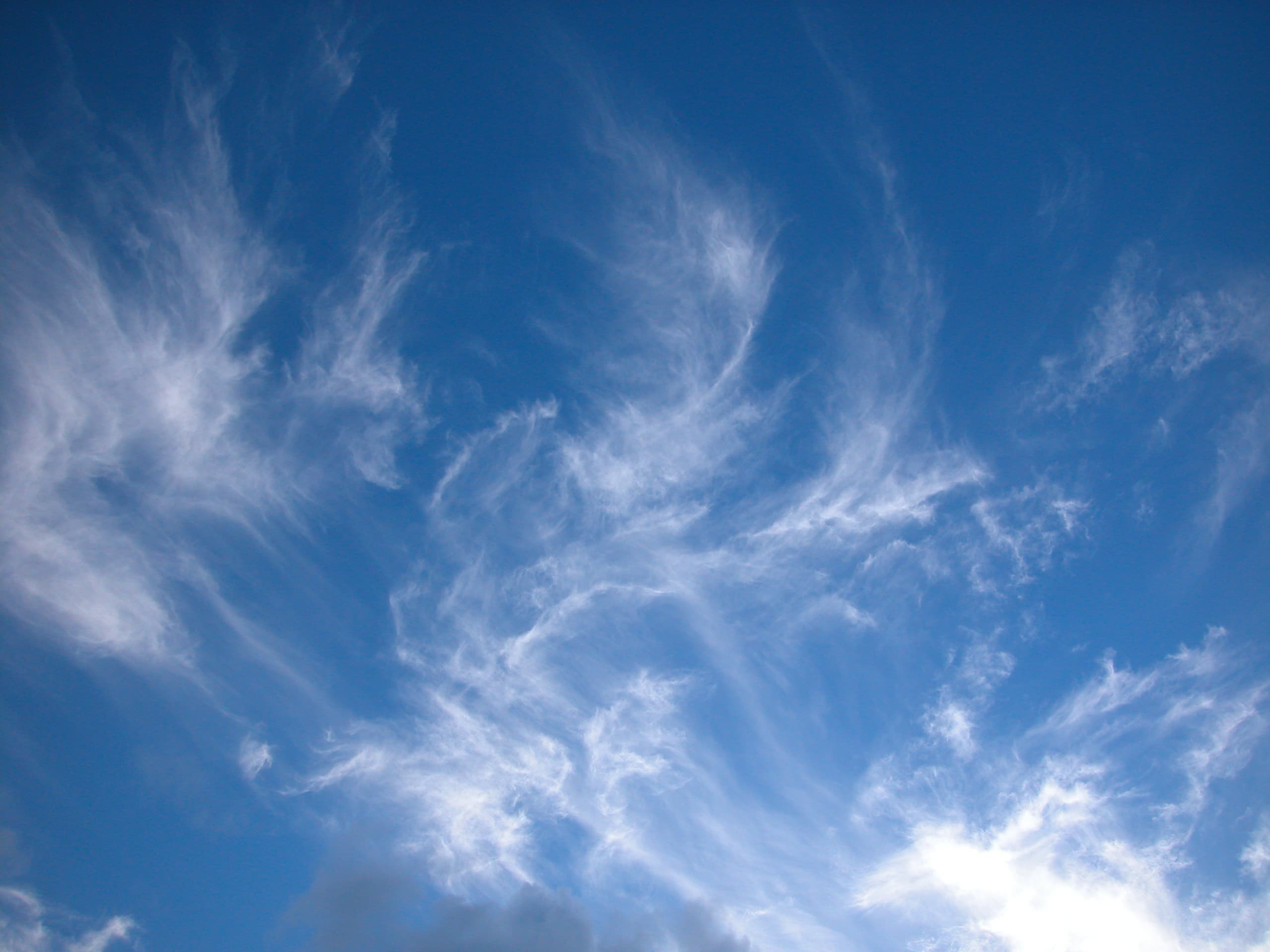 dscn3771.jpg